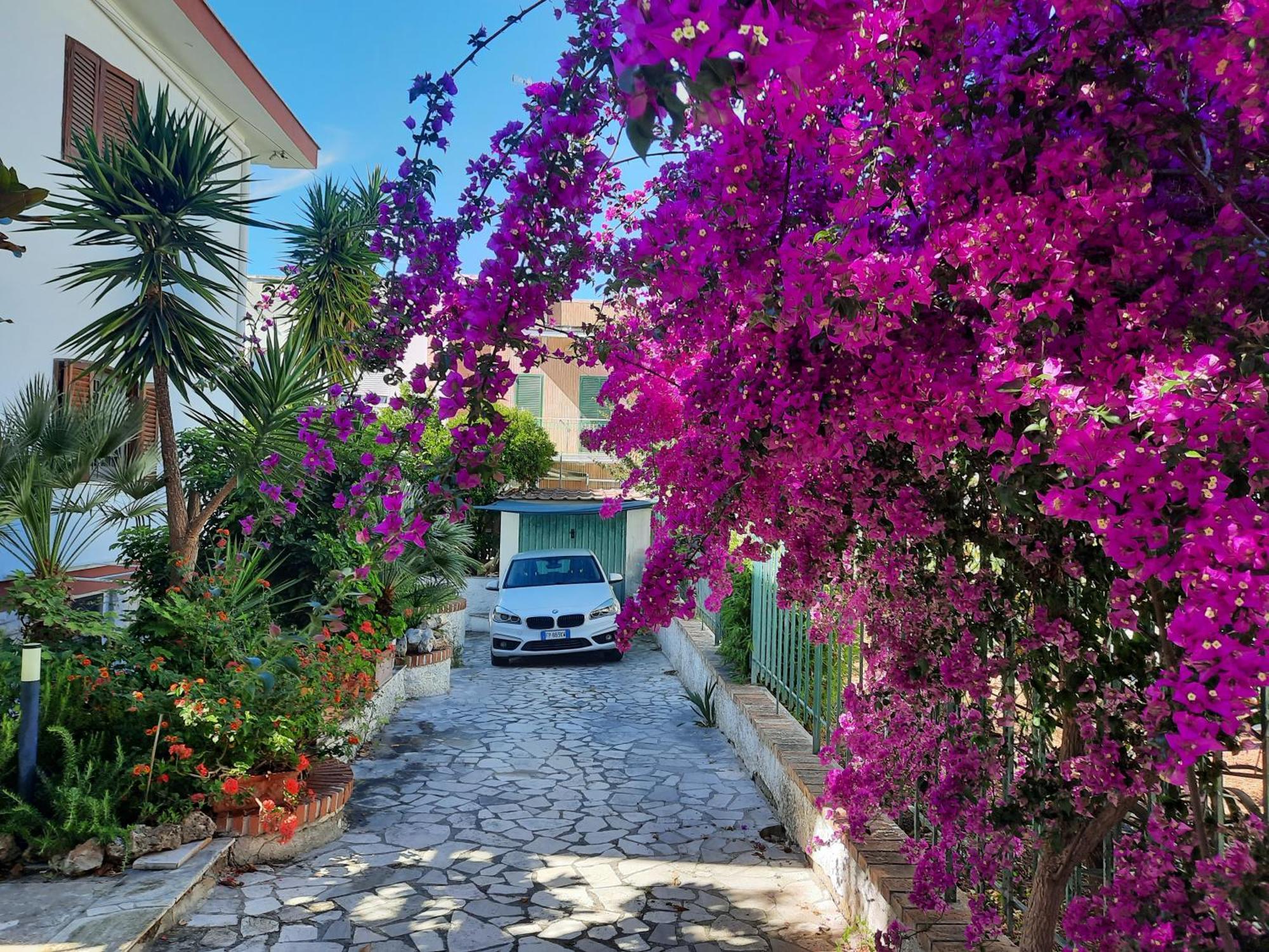Residenza Nisio Villa Bari Kültér fotó